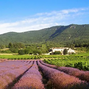 Du Château D'alençon Hébergement de vacances